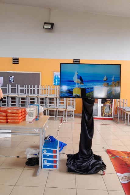 sewa tv jakarta, sewa tv led jakarta, sewa smart tv jakarta